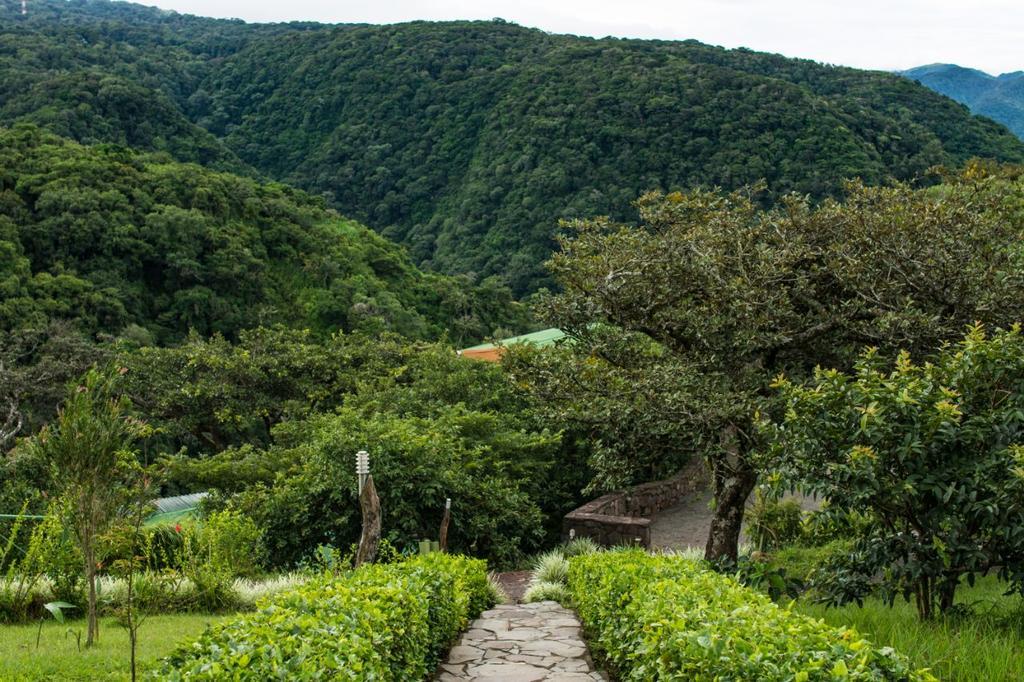 Rainbow Valley Lodge Costa Rica Monteverde Ngoại thất bức ảnh